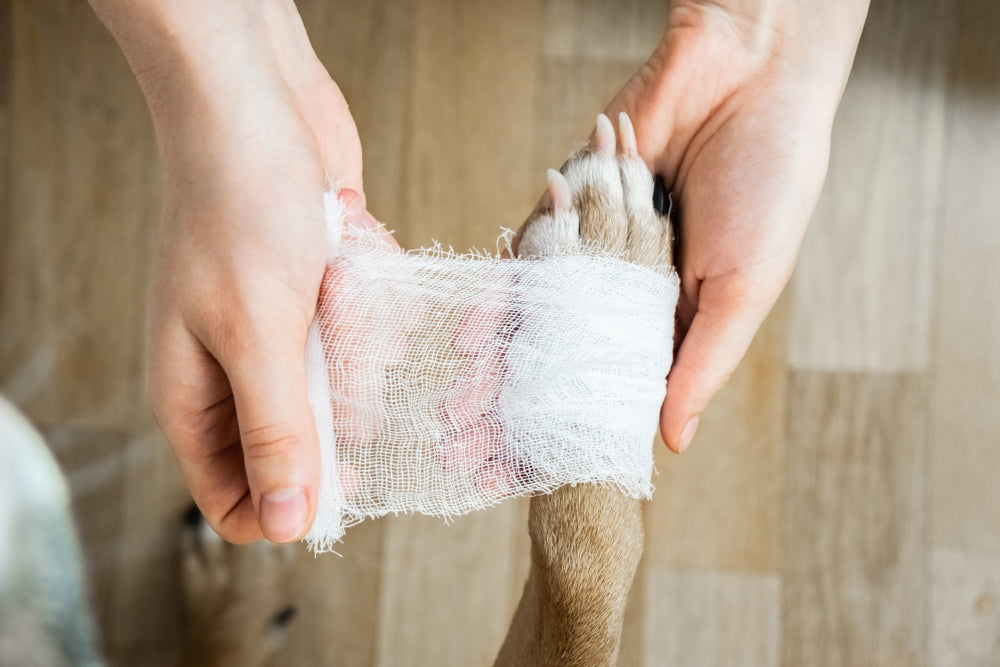 COMBO: 10/3x3 Gauze Sponges & 3/ 2" Rolled Gauze image 2