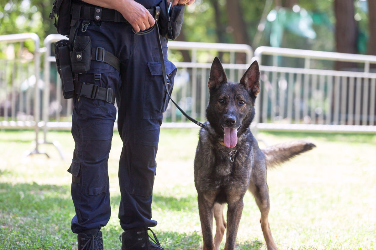 K9 MEDKIT - WORKING DOG EDITION | First Aid Kit for Dogs image 11