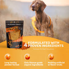 PUMPKIN PRO - By Rogue Pet Science image 2