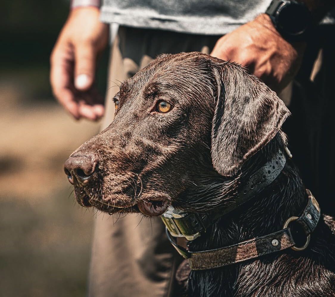 Dog owner with dog prepared with a K9 first aid kit