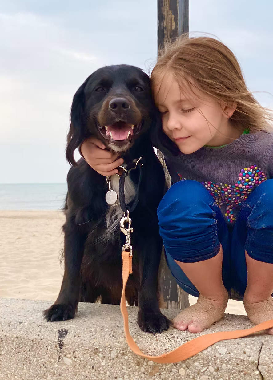 Dog and family safety