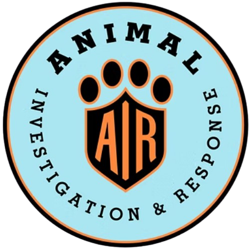 Animal Investigation and Response